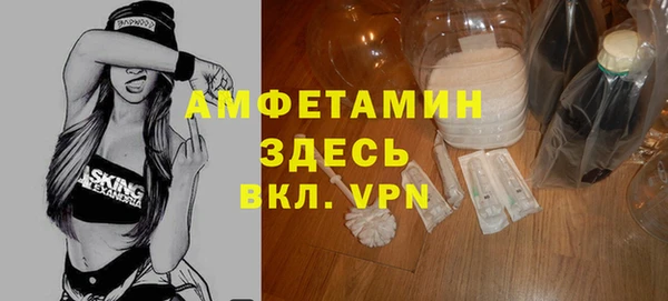 гашик Пересвет