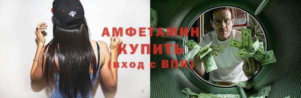 гашик Пересвет