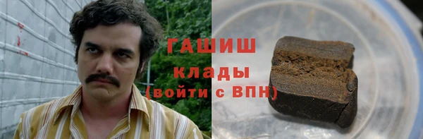 гашик Пересвет