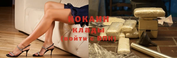 гашик Пересвет