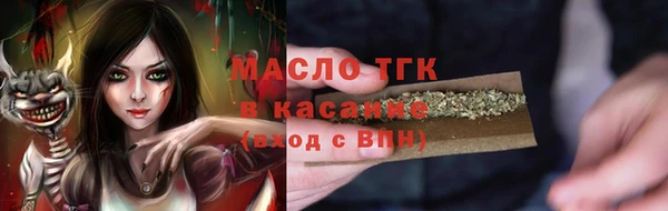 гашик Пересвет
