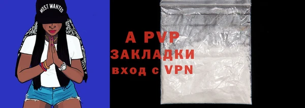 крисы Пестово