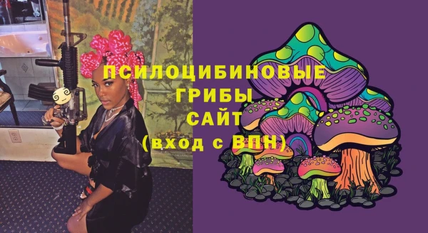 гидра Переславль-Залесский