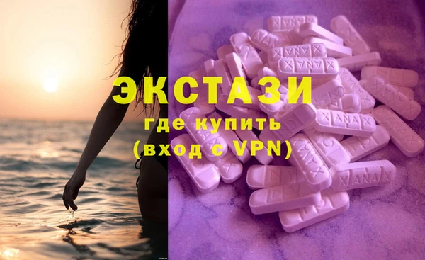 гашик Пересвет