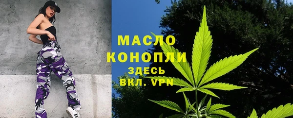 гашик Пересвет