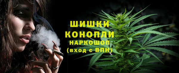 крисы Пестово