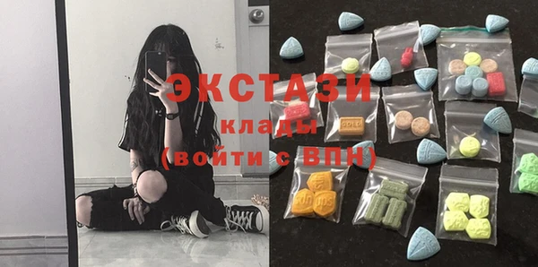 гашик Пересвет