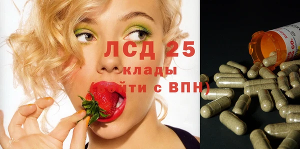 гашик Пересвет