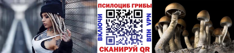 мориарти какой сайт  KRAKEN tor  Псилоцибиновые грибы ЛСД  Туран  купить наркотик 